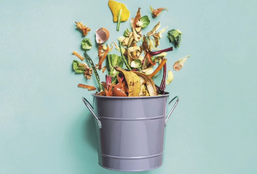 L’âge du compostage