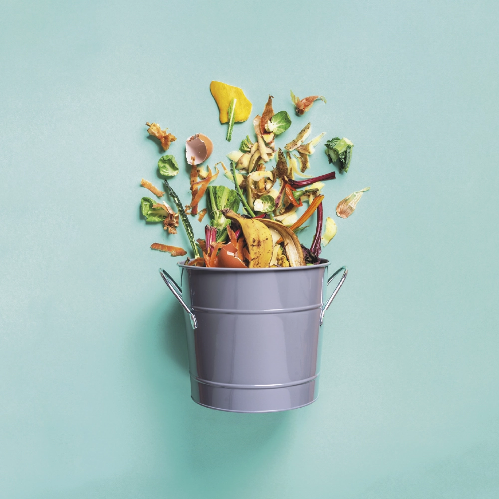 L’âge du compostage