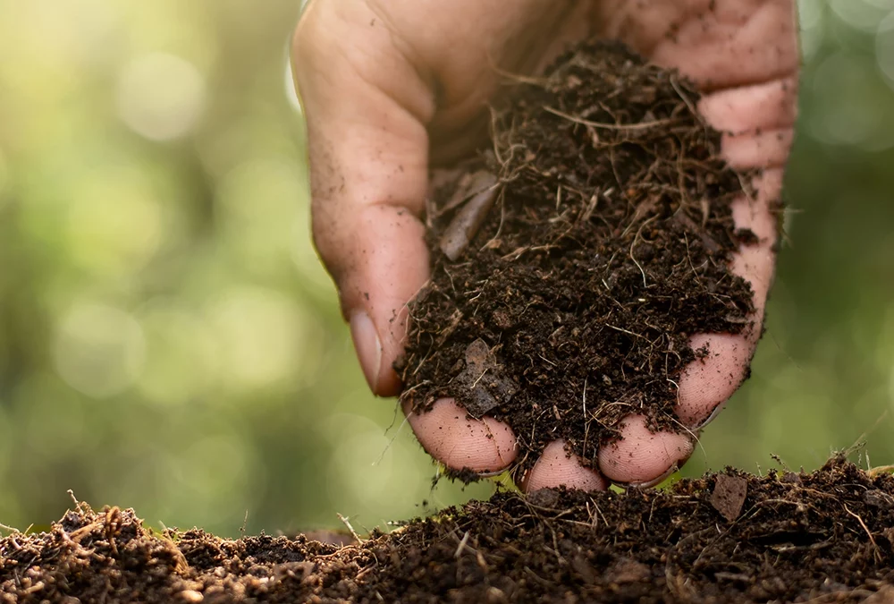 S’affirmer en acteur de la transition écologique