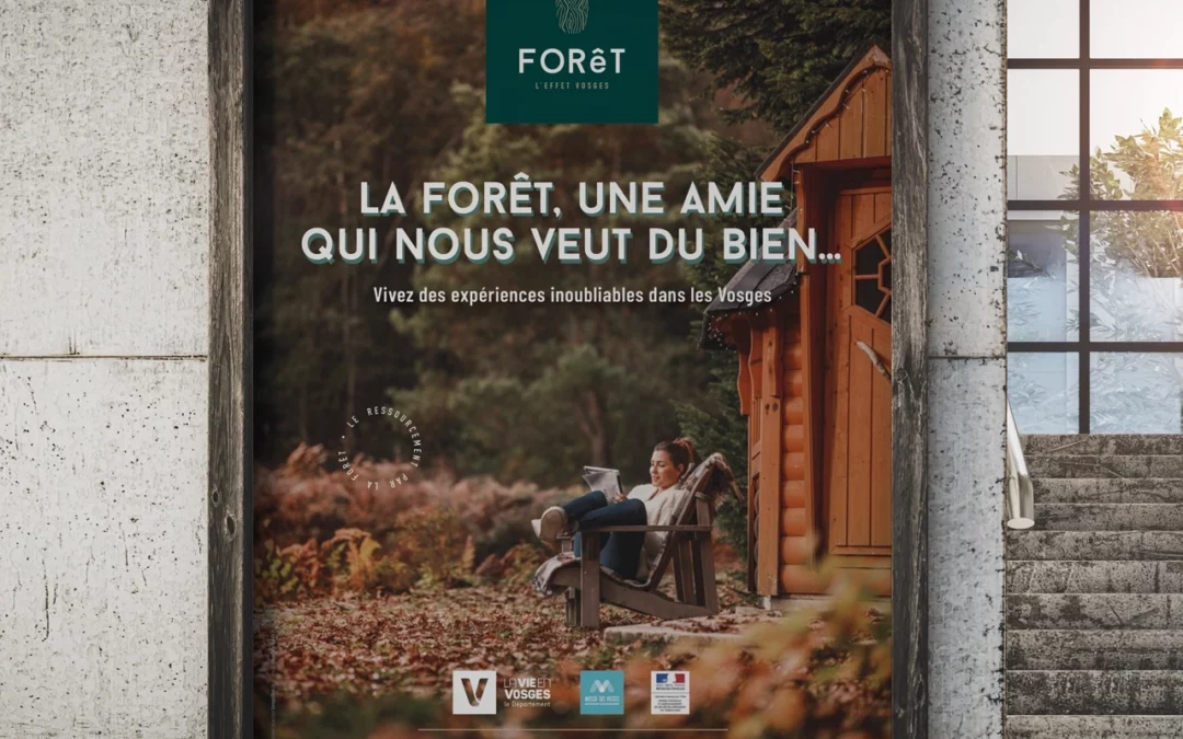 La vraie nature d’une belle forêt
