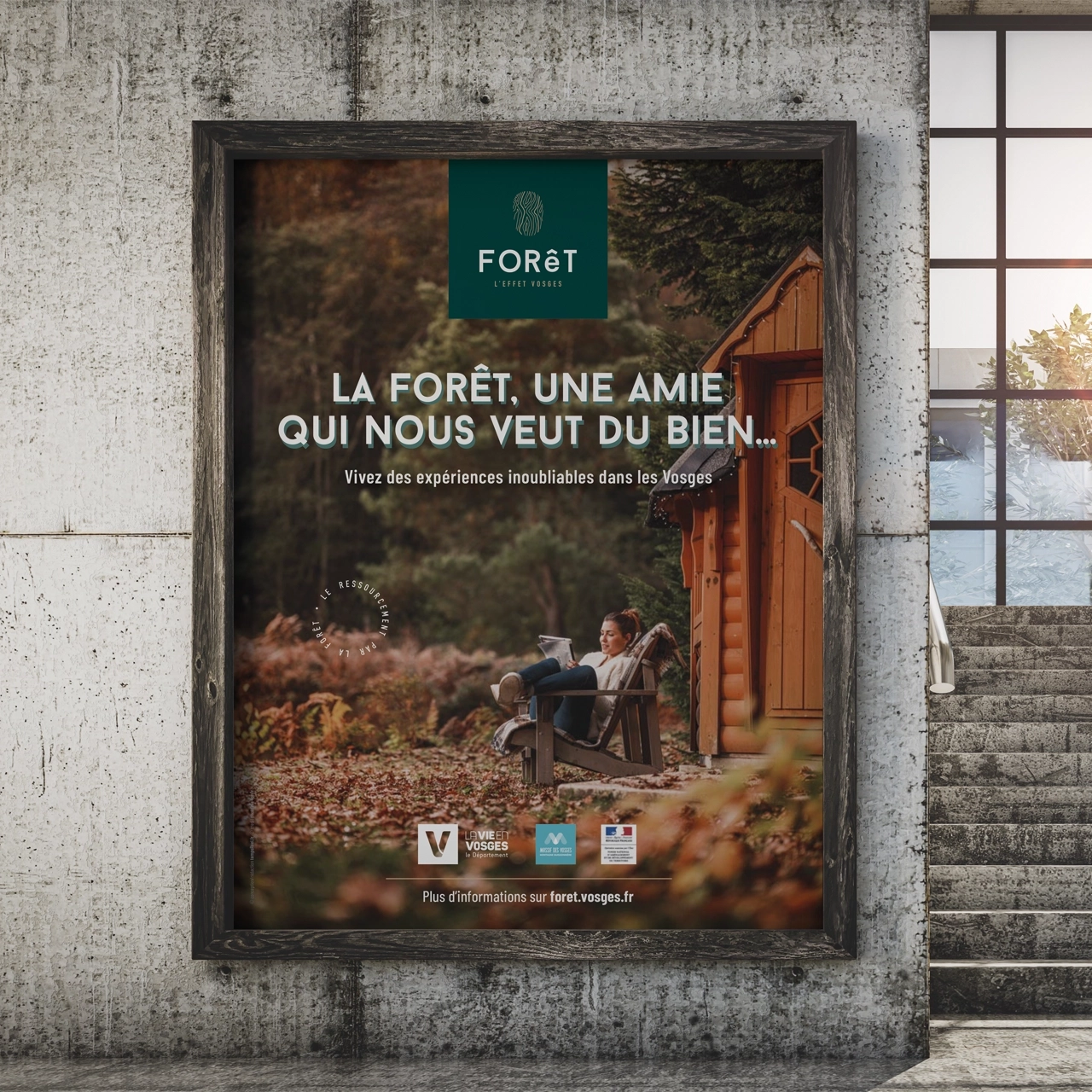 La vraie nature d’une belle forêt